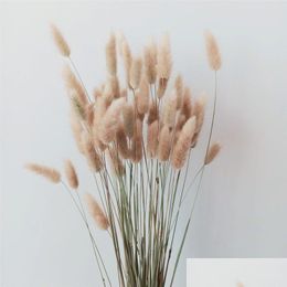 Dried Flowers 100 Stems Flower Bunny Tail Natural Plants Floral Rabbit Grass Bouquet Home Decoration Z1120 Drop Delivery Garden Deco Dhr3O