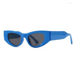 Sunglasses Vintage Cat Eye Women's Fashion Blue Cateye Elegant Ladies Eyewear Shades UV400