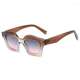 Sunglasses Outdoor Personality Europe And The United States Sun Protection Leopard Glasses Teal Lens Powder Frame
