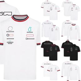 New F1 T-shirt Formula 1 Team Racing Polo Shirts T-shirt Summer Men's Race Sport Lapel Quick Dry T-shirts Jersey Same F1 Shirts
