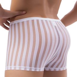 Underpants Men Mesh Transparent Underwear Sexy Panties Trunks Low Rise Knickers Dry Shorts Striped Breathable