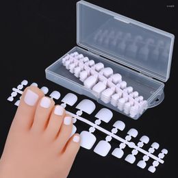 False Nails 240pcs Matte Square Full Cover Fake Toenail Set White Clear Nude Pink Artificial Tips Press On Foot Manicure Pedicure Tool