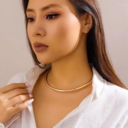 Choker Simple Style Metal Necklace For Women Punk OL Party Holiday Fashion Jewellery Accessories AN001