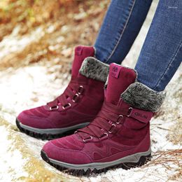 Boots XEK 2023 Arrival Fashion Suede Leather Women Snow Winter Warm Plush Women's Waterproof Ankle YYJ15