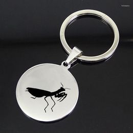 Keychains Personality Praying Mantis Pendant Keychain High Polished Disc Jewellery Wholesale Price YP7357