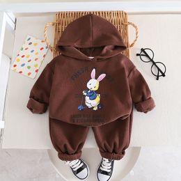 Spring Autumn Girls Clothes Set Cartoon Hooded Boys Sports Suit 1-5 Years Kids Tracksuit Baby Girls Sweatshirt Pants Outfit