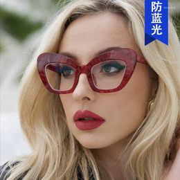 Sunglasses Frames Anti Blue Light Large Frame Cat Eye Flat Lens 2023 Eyeglass Versatile And Fashionable