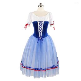 Stage Wear Professional High Quality Selling Custom Size Kids Girls Adult Woman Performance Blue Elegant Ballet Romantic Tutu