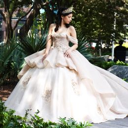 Champagne Shiny Spaghetti Straps Tiered Quinceanera Dress Ball Gown Crystal Appliques Lace 3DFlower Corset Vestido De 15 Anos