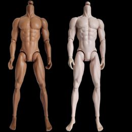 Dolls Original Mizi Adonis Muscle Body White Latino Skin Tone 16 Joints Movable Male Blank Bald Head For Make Up Practise 230710