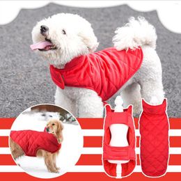 Dog Apparel Medium Sweater With Winter Warm Soft Wool Vest Cute Clothing Pet Sweatshirt Red For Chihuahua Hoodie