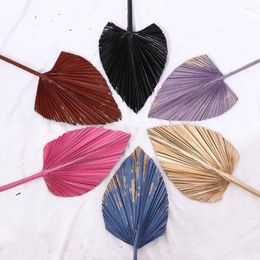 Decorative Flowers 1 Pcs Bohemian Tropical Fan Leaf Colorful Palm Spears Dried Plant DIY Natural Trimmed Party Decoration Leaves