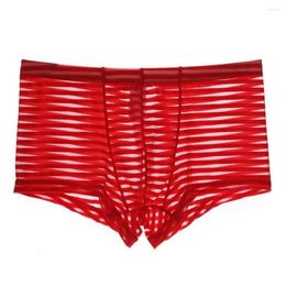 Underpants Men Sweat Absorbing Sweat-wicking Transparent Clothing Nylon Men's Underwear Boxers Panties Lingerie Intimates