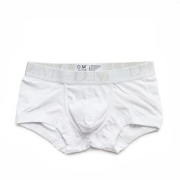 Underpants Fashion White Solid Colour Breathable Sexy Low Waist Boxer Shorts Printing Gay Top Vers Bottom Men's Underwear