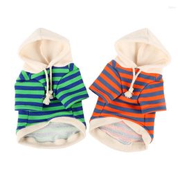 Dog Apparel Pet Clothes Autumn Winter Striped Sweatshirt Fashion Hooded Cat Accessories Hoodie