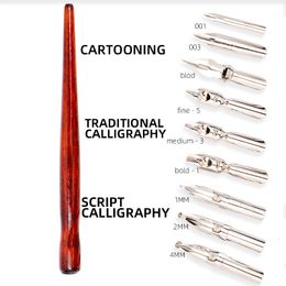 Fountain Pens Dainayw 9 Calligraphy Nibs Dip Pen Set for Cartoon Animation Lettering Skeching Art Drawing Mapping Decorative designs 230707