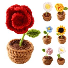Decorative Flowers Knitted Flower For Home And Office Decoration Cute Cartoon Potted Plant Ornaments With Various Shapes