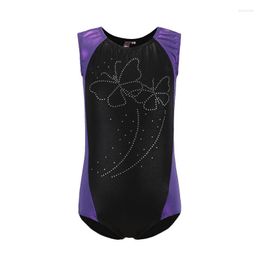 Stage Wear 2023 Bronzing Leotard Toddler Ballet Dance Dress Girls Jumpsuit Kids Competition Constume