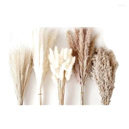 Decorative Flowers 120PCS Home Decor Dried Cattail Bouquet -Pampas Grass Contains White Pampas Brown