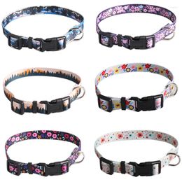 Dog Collars Pet Products Design Ribbon Plastic Buckle Collar Nylon Heat Transfer Printing