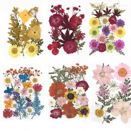 Decorative Flowers 1 Bag Dried Pressed Stickers For DIY Phone Case Epoxy Resin Filling Pendant Jewellery Making Crafts Nail Art Decor