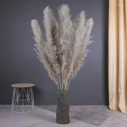 Decorative Flowers 10pcs Natural Pampas Grass Artificial Flower Row Outdoor Event Background Decoration Window Display Wedding Arrangemet