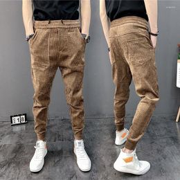 Men's Pants Autumn Winter Indoor Stylish Corduroy Drawstring Khaki Fashion Baggy Korean Streetwear Harem Track