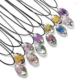 Chains Transparent Oval Tree Of Life Real Natural Dried Flower Glass Pendant Leather Chain Necklace Daisy Blomoss Petal Dangle