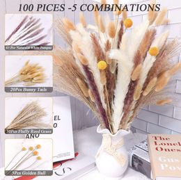 100stems/Bunch Natural Real Reed Pampas Original Dried Bunny Tail Cream Pampas Grass Reed Pampas Fluffy Room Decoration Grass Dried Flowers Bouquet Boho Home Decor