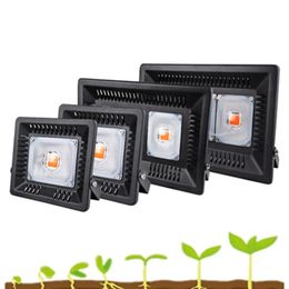 LED Grow Light Waterproof IP67 50W 100W 200W 300W COB Full Spectrum Growth Flood Light for Plant Indoor Hydroponic Greenhouse