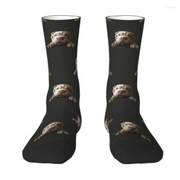 Men's Socks Cute Printed Shar Pei Puppy Dog For Men Women Stretchy Summer Autumn Winter Crew