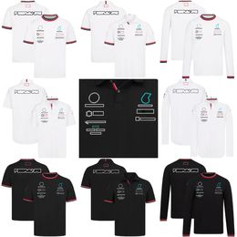 F1 T-shirt Formula 1 Team Racing Polo Shirts Fans Summer Casual Quick Dry Sports Short Sleeve Mens Jersey Top J0PG