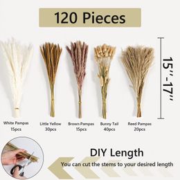 120stems/Bunch dried Flowers Bouquet Boho Home Decor Dried Bunny Tail Cream Pampas Grass Reed Pampas Fluffy Room Decoration