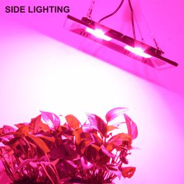 Plant Grow Light 50W 100W 200W 300W IP65 Phytolamp Full Spectrum UV 395nm for LED COB Grow Lights Floodlight Greenhouse Flower Seed Grow Tent