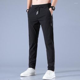 Men's Pants MRMT 2023 Brand Ice Silk Loose Breathable Straight Casual Thin Quick Drying Elastic Sweatpants