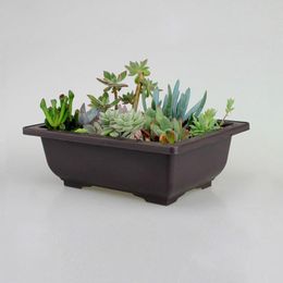 Decorative Flowers Imitation Purple Sand Dark Brown Plastic Antique Flower Pot Suitable For Succulent Small Potted Bonsai