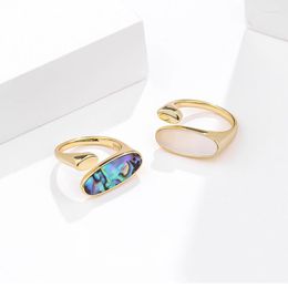 Cluster Rings 925 Sterling Silver Jewellery Abalone Shell Fashion Mother-of-pearl Natural Stone Earring Ring For Women Party