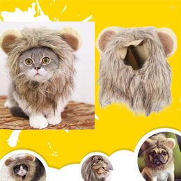 Cat Costumes Cute Lion Mane Wig Hat Small Dog Cosplay Costume Kitten Funny Clothes Decor Pet Ears Accessories Supplies