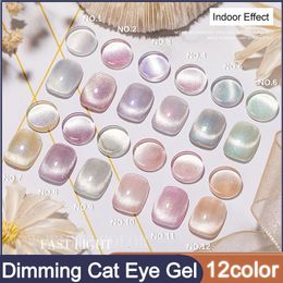 Nail Polish 12colors Indoor/Outlight Change Colour Dimming Cat Eye Gel Nail Polish 10ml Semi Permanent Soak Off UV Magnetic Nail Polish 230711