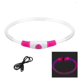 Dog Collars Adjustable Size Glow Light Fashion USB Rechargeable Daily Anti Lost Pet Harness Flashing Walking 3 Modes For Dark LED Collar