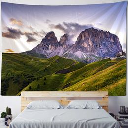 Tapestries Wilderness Park Green Pine Trees Sunset Mountains Landscape Wall Hanging Tapestry For Living Room Dorm Home Decor