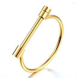 Bangle Fashion Luxury Jewellery Love Screw For Women Gold Colour Stainless Steel & Bangles Wholesale