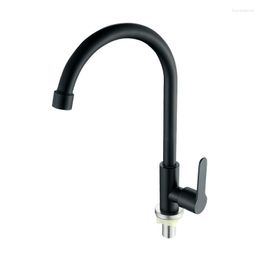 Kitchen Faucets Black 304 Stainless Steel Faucet Sink Water Tap Single Cold Handle 360 Rotation Shower