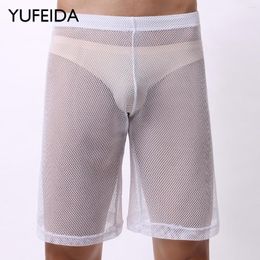 Men's Shorts YUFEIDA Sexy Underwear Mens Boxer Breathable Mesh Hollow Out Boxershorts Male Pyjamas Undies Transparent Boxers Underpant