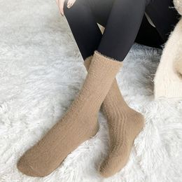 Women Socks Winter Thick Warm Female Soft Floor Sock Girls Middle Tube Comfortable Solid Colour