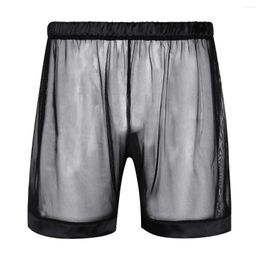 Underpants Mens See-through Mesh Lingerie Transparent Briefs Underwear Loose Lounge Boxers Shorts Panties Nightwear Swimwear