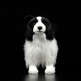 Plush Dolls 25 cm Real Life Border Collie Dog Soft Toy Realistic Long Haired Black Dog Plush Toys Puppy Stuffed Animal Toy Gifts 230711