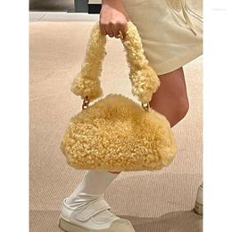 Evening Bags Faux Fur Women Soft Fluffy Leisure Underarm Shoulder Bag Womens Korean Style All-match Winter Ladies OL Shopping Street