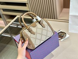 Luxury Fashion Shoulder Woven Bags 2023 Classic Plaid Handbags Three Colours Lady's Totes Banquet Makeup Bags