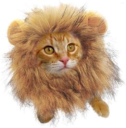 Cat Costumes Lion Mane - Kitten Customs For Halloween | Costume Small Cats And Kittens Ideal Birthday Cosplay Ca